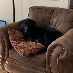 Meet your Posher, Peggy